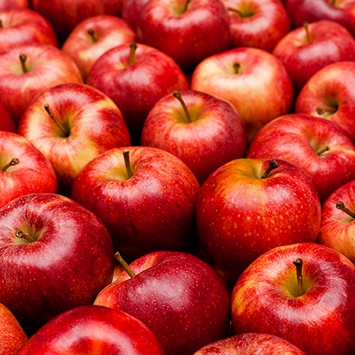 Fresh Apples